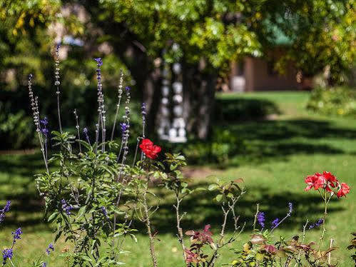 Chartwell Castle & Guest House エクステリア 写真